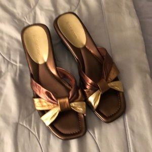 Bronze and gold slides